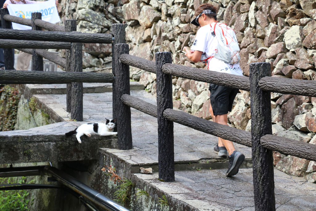 ギャラリー写真