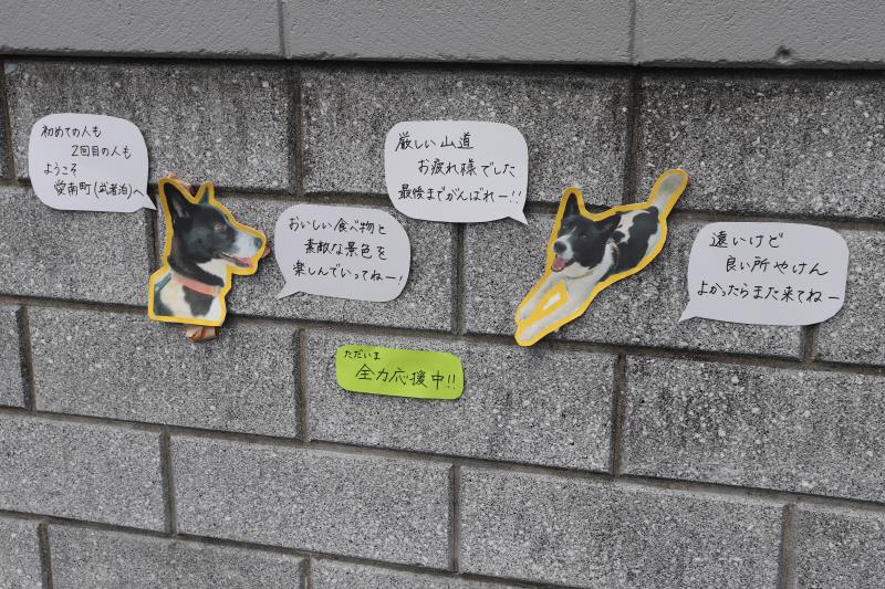 ギャラリー写真